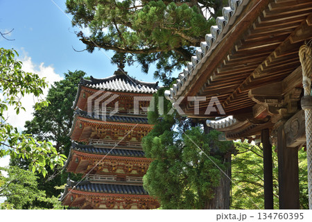 海住山寺 本堂から見た五重塔(京都府木津川市) 海住山寺 本堂から見た五重塔(京都府木津川市) 134760395