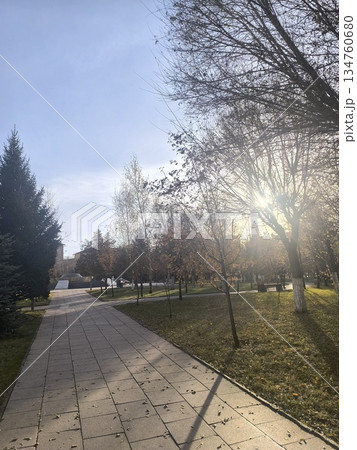 A serene scene with sunlight filtering through trees in an autumn park. A paved path invites exploration, offering a peaceful urban escape for tourists and recreational activities. 134760680