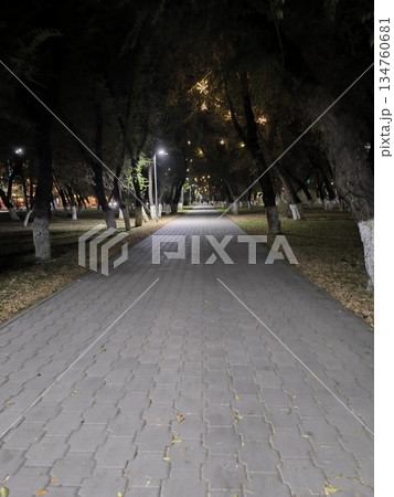 Capture a serene night scene with a long, paved walkway lined by trees. Soft lighting illuminates the path, creating an inviting ambiance ideal for a peaceful stroll or contemplation. Capture a serene night scene with a long, paved walkway lined by trees. Soft lighting illuminates the path, creating an inviting ambiance ideal for a peaceful stroll or contemplation. 134760681
