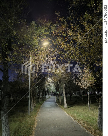 Enjoy a serene evening stroll along a park path, surrounded by trees adorned in vibrant autumn hues. Soft streetlight illumination enhances the peaceful atmosphere, ideal for scenic design. Enjoy a serene evening stroll along a park path, surrounded by trees adorned in vibrant autumn hues. Soft streetlight illumination enhances the peaceful atmosphere, ideal for scenic design. 134760682