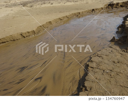 【鳥取】鳥取砂丘にできた小川（鳥取市） 134760947