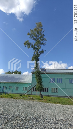 This image shows a green building with a tall tree in front, set against a blue sky with clouds. It is ideal for educational, architectural, or nature-themed projects, evoking tranquility. This image shows a green building with a tall tree in front, set against a blue sky with clouds. It is ideal for educational, architectural, or nature-themed projects, evoking tranquility. 134761193