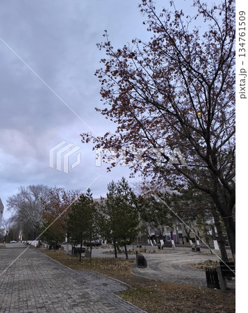 A tranquil autumn park scene with bare trees and a few rust-colored leaves. A paved path stretches through the park under a cloudy sky, ideal for reflective themes or tourism promotion. A tranquil autumn park scene with bare trees and a few rust-colored leaves. A paved path stretches through the park under a cloudy sky, ideal for reflective themes or tourism promotion. 134761509
