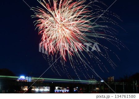 冬花火 家康公生誕花火 冬花火 家康公生誕花火 134761580