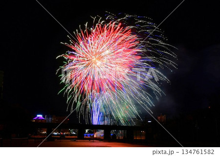 冬花火 家康公生誕花火 冬花火 家康公生誕花火 134761582