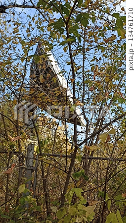 A large satellite dish antenna is partially hidden by vibrant autumn trees. This scene showcases the blend of telecommunications technology with the beauty of nature in a rural setting. 134761710