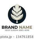 Leaf logo vector illustrations design icon template 134761858