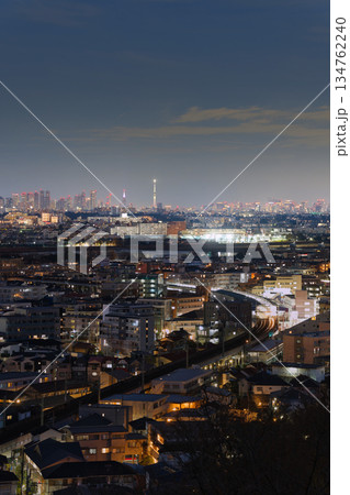 稲田堤と新宿の夜景 134762240