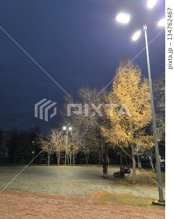 At twilight, a park scene showcases illuminated trees by streetlights against a darkening sky. The brick pavement enhances the tranquil urban ambiance, highlighting city life. 134762467