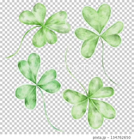 Shamrock leaf collection, isolated, hand painted watercolor clipart. Perfect for Irish decor, St. Patricks Day patterns, botanical designs, and festive graphics Shamrock leaf collection, isolated, hand painted watercolor clipart. Perfect for Irish decor, St. Patricks Day patterns, botanical designs, and festive graphics 134762650