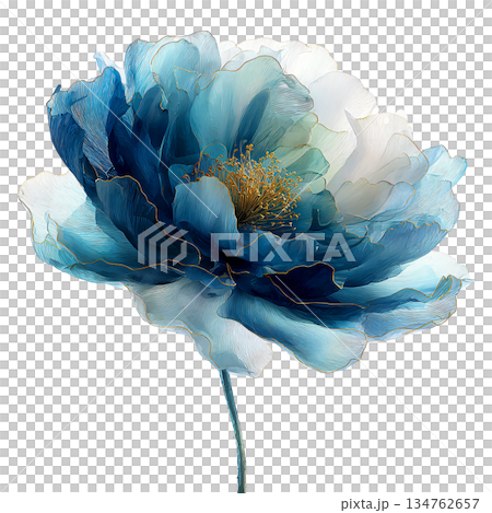 Majestic watercolor blue peony flower illustration with gold edges and stem, luxury blooming rose floral art isolated on white background for wedding design. Majestic watercolor blue peony flower illustration with gold edges and stem, luxury blooming rose floral art isolated on white background for wedding design. 134762657