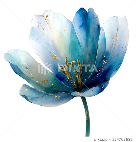 Beautiful watercolor blue tulip flower illustration with gold dust and stem, elegant translucent floral blossom isolated on white background for spring decoration. 134762659