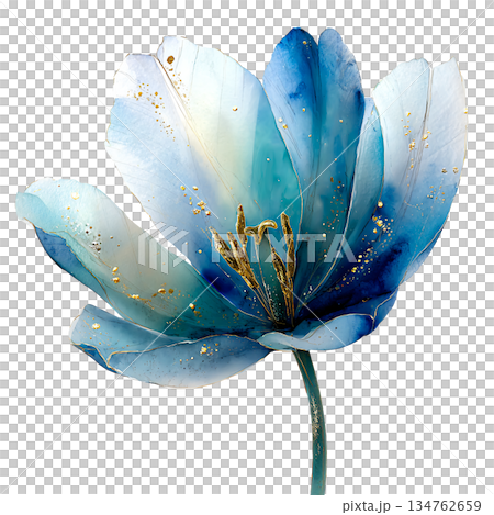 Beautiful watercolor blue tulip flower illustration with gold dust and stem, elegant translucent floral blossom isolated on white background for spring decoration. 134762659