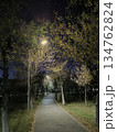 Enjoy a serene evening stroll along a park path, surrounded by trees adorned in vibrant autumn hues. Soft streetlight illumination enhances the peaceful atmosphere, ideal for scenic design. 134762824