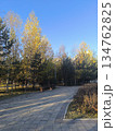 A picturesque autumn park scene showcasing a winding pathway surrounded by vibrant fall-colored trees. Benches are placed along the path, enhancing the peaceful atmosphere for relaxation. 134762825