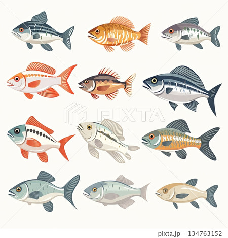 Diverse Fish Collection A Colorful Array of Aquatic Species for Educational and Decorative Use 134763152