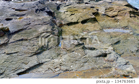 Texture Background of Ancient Weathered Granite Sea Rock 134763665