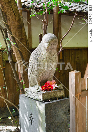 京都 大豊神社 狛鳶と美しい椿(京都府京都市左京区) 京都 大豊神社 狛鳶と美しい椿(京都府京都市左京区) 134764632