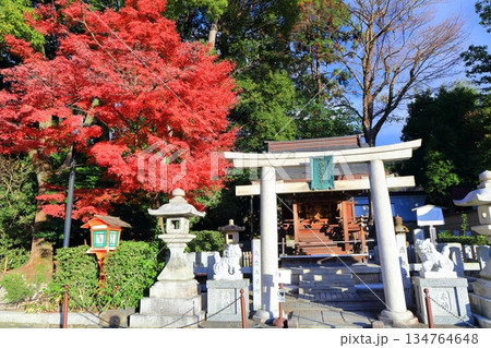 【京都府】円山公園の悪王子社と紅葉（八坂神社） 134764648