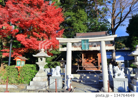【京都府】円山公園の悪王子社と紅葉（八坂神社） 134764649