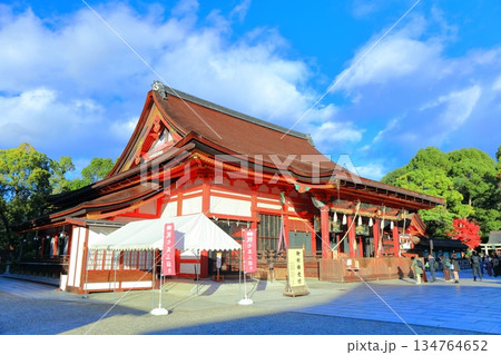 【京都府】晴天の八坂神社の本殿 【京都府】晴天の八坂神社の本殿 134764652