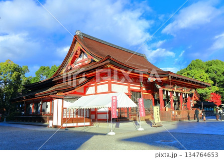 【京都府】晴天の八坂神社の本殿 【京都府】晴天の八坂神社の本殿 134764653