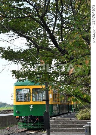 新潟市南区の月潟駅と電車の風景(新潟県新潟市南区) 新潟市南区の月潟駅と電車の風景(新潟県新潟市南区) 134764678