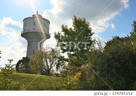 紅葉に囲まれた水道公園の水道塔（新潟県長岡市） 134765152