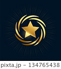 stylish golden star shiny background for honor or award show 134765438