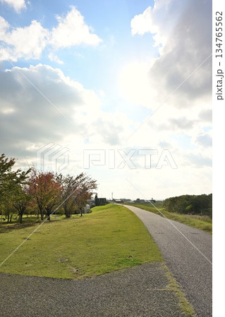 新潟県長岡市の水道公園の秋景色（新潟県長岡市） 134765562
