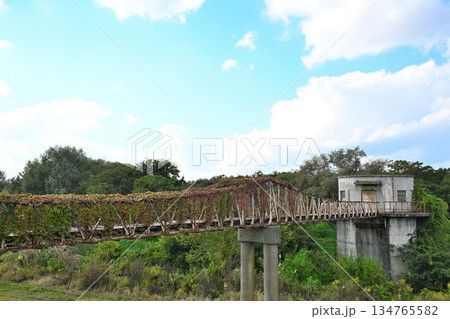 新潟県長岡市の水道公園にある歩道橋の風景（新潟県長岡市） 134765582