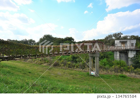 新潟県長岡市の水道公園にある歩道橋の風景（新潟県長岡市） 134765584