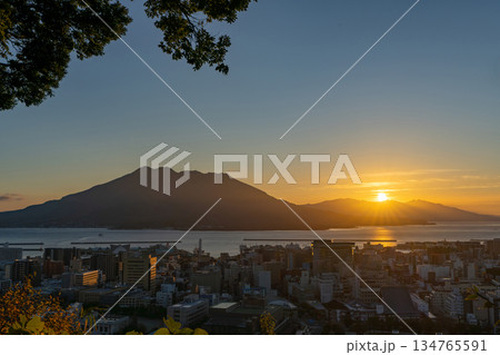 城山公園から見た朝日に照らされる桜島 134765591