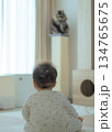 猫を見る赤ちゃんの後ろ姿 134765675