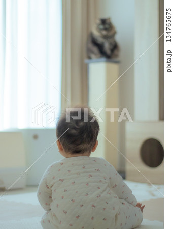 猫を見る赤ちゃんの後ろ姿 134765675