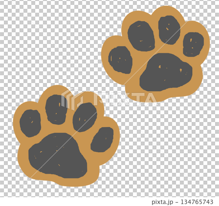 Paw prints of cute pets like cats and dogs walking 134765743
