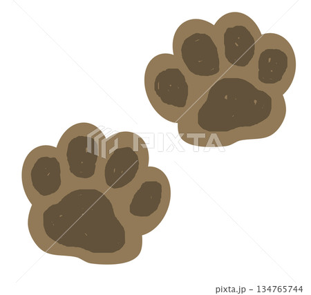 猫や犬の可愛いペットが歩いた肉球の形の足型 猫や犬の可愛いペットが歩いた肉球の形の足型 134765744