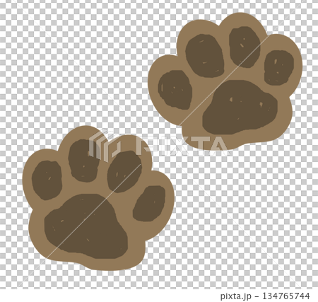 Paw prints of cute pets like cats and dogs walking 134765744