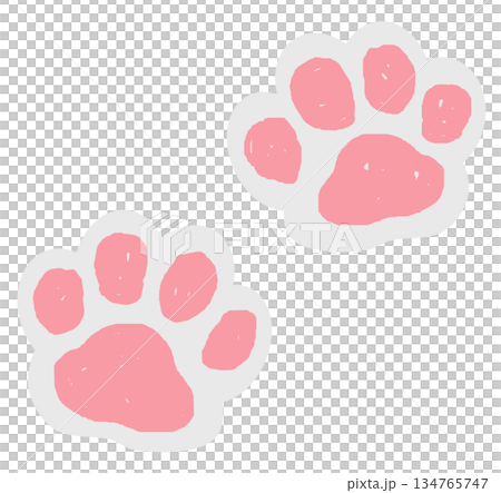 猫や犬の可愛いペットが歩いた肉球の形の足型 134765747