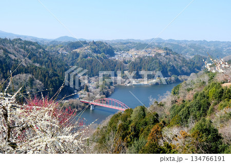 奈良県奈良市_月ヶ瀬橋8_2025年3月 奈良県奈良市_月ヶ瀬橋8_2025年3月 134766191