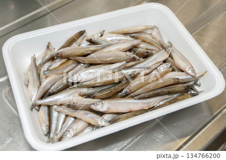 ワカサギ 134766200