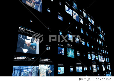 ビジネス情報画面の集合 134766402