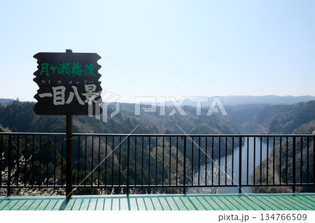奈良県奈良市_月ヶ瀬梅林5_2025年3月 134766509