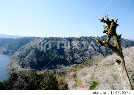 奈良県奈良市_月ヶ瀬梅林からの景色6_2025年3月 奈良県奈良市_月ヶ瀬梅林からの景色6_2025年3月 134766570