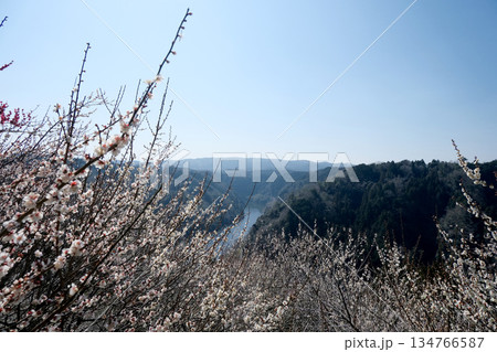 奈良県奈良市_月ヶ瀬梅林からの景色23_2025年3月 奈良県奈良市_月ヶ瀬梅林からの景色23_2025年3月 134766587