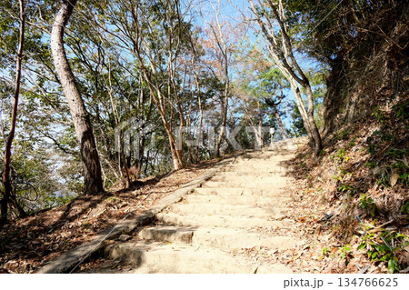 岡山県高梁市_備中松山城遊歩道30_2025年3月 134766625