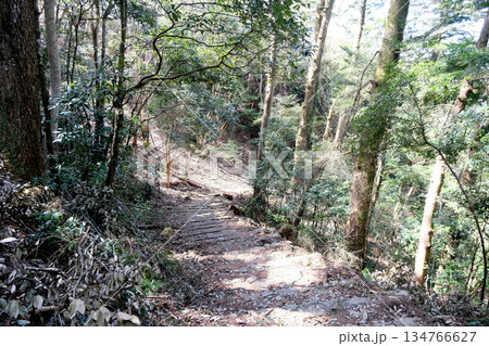 岡山県高梁市_備中松山城遊歩道2_2025年3月 134766627