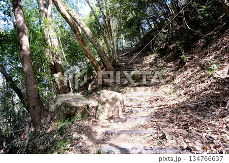 岡山県高梁市_備中松山城遊歩道12_2025年3月 134766637
