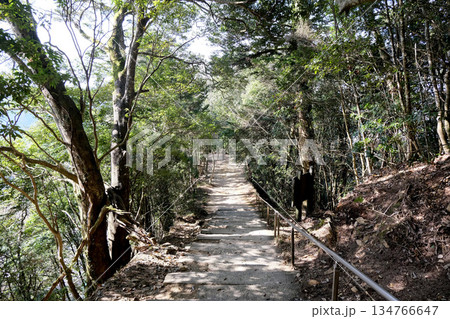 岡山県高梁市_備中松山城遊歩道22_2025年3月 134766647