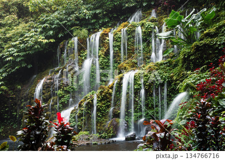 Waterfall cascading over mossy rocks surrounded by jungle foliage 134766716